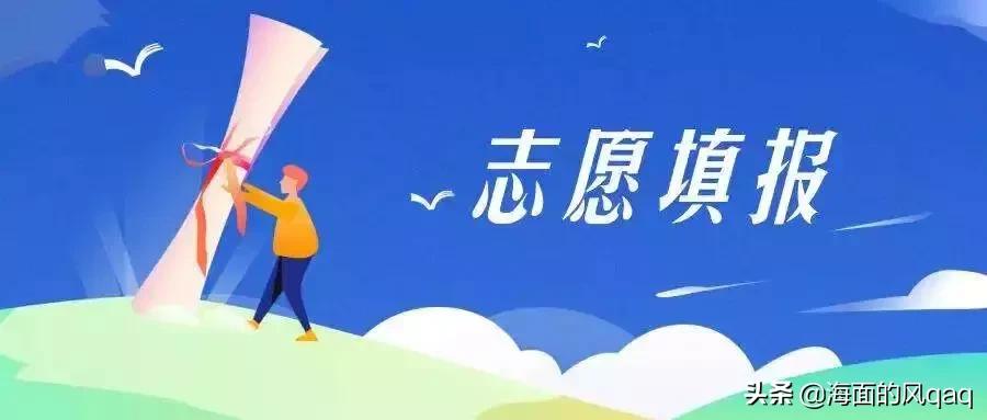 澳门与广东省专升本考试网，深度解析与备考指南