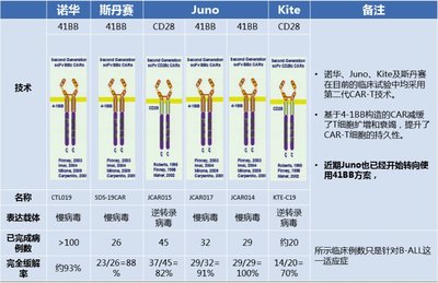 澳门知识系列，广东保灵医药有限公司的深度剖析