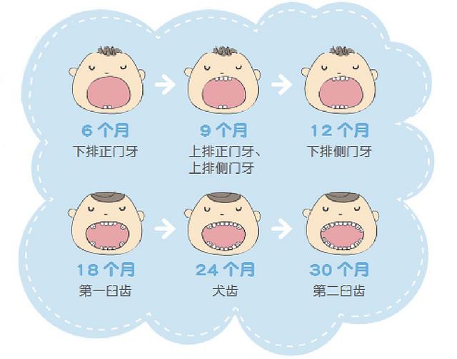 八个月宝宝长牙症状，全面解析与应对指南